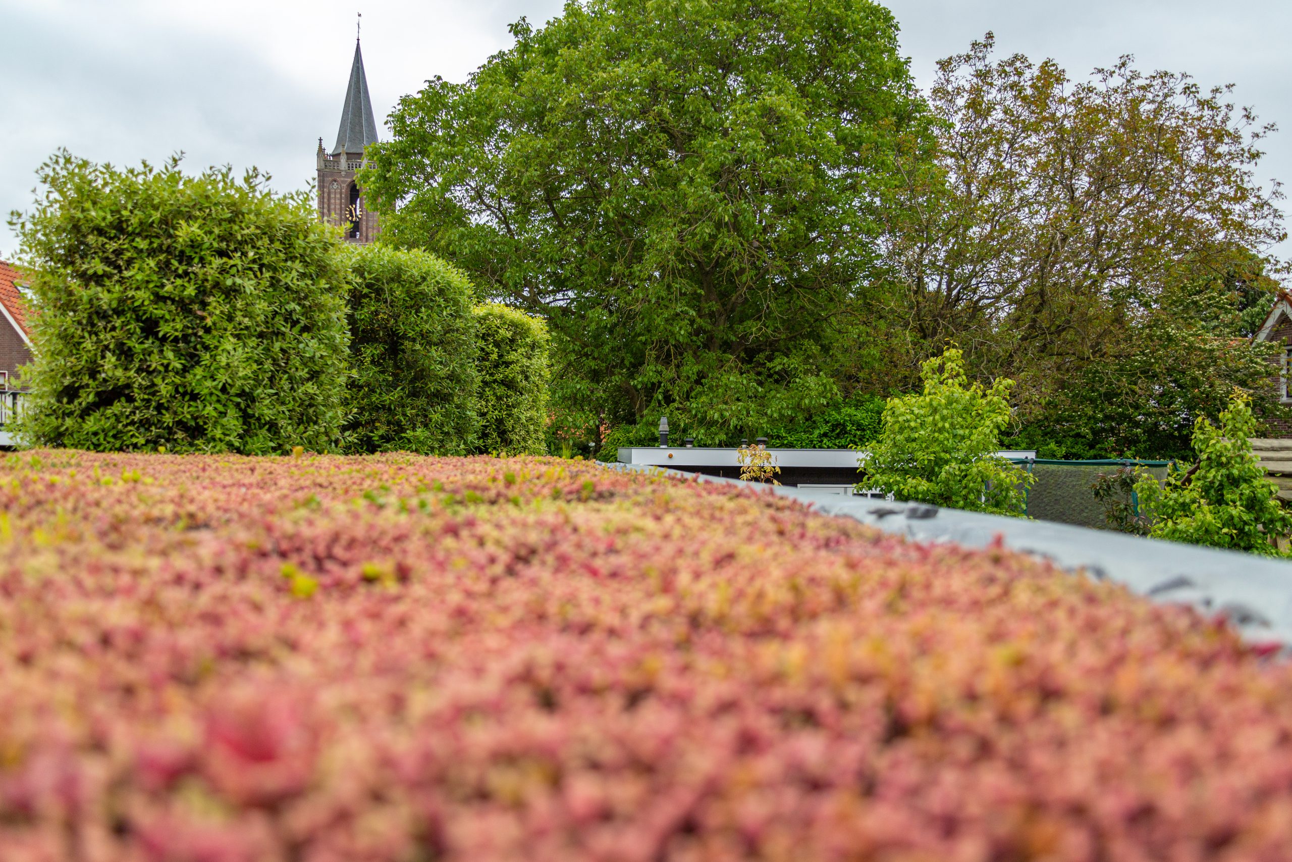 Tips voor een duurzame tuin